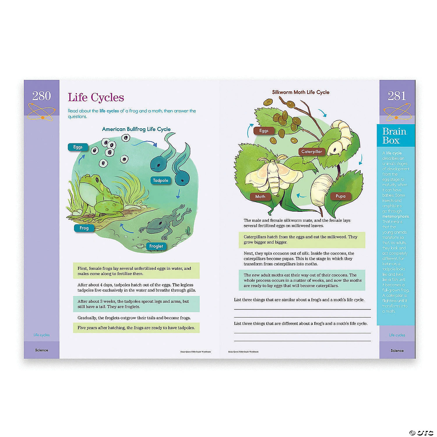 Brain Quest Workbook: Grade 5 - Image 2