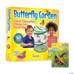 Butterfly Garden With FREE Gift