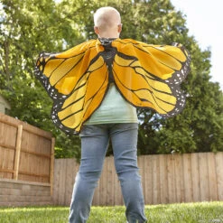 Butterfly Wings: Orange