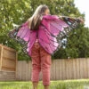 Butterfly Wings: Pink