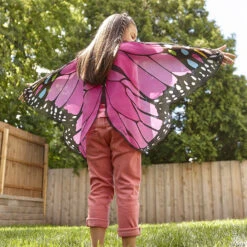 Butterfly Wings: Pink
